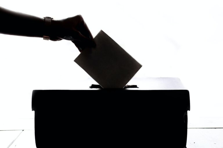 Voting Box image